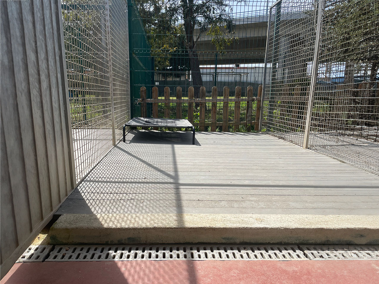 Box Canina Quinta d'Alcateia